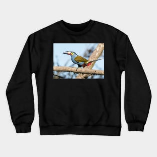 Plate-billed mountain toucan Crewneck Sweatshirt